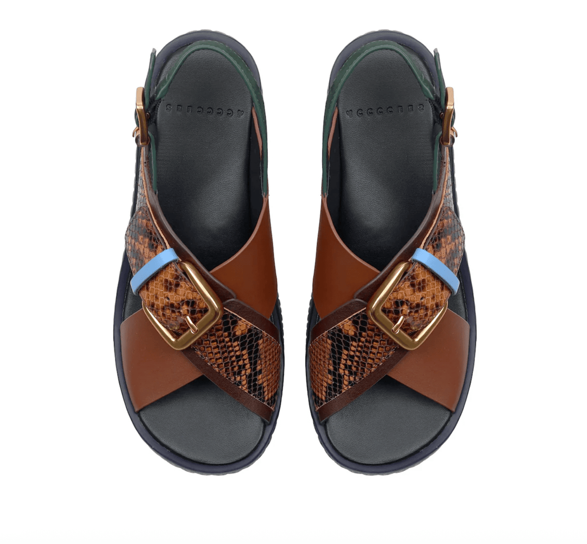 4CCCCEES PLIA JUNO COFFEE Shoe Main & Taylor Shoes