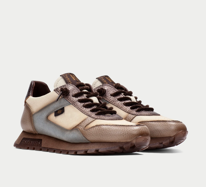 CHI265095 DARK BEIGE/GREY MULTI SNEAKER