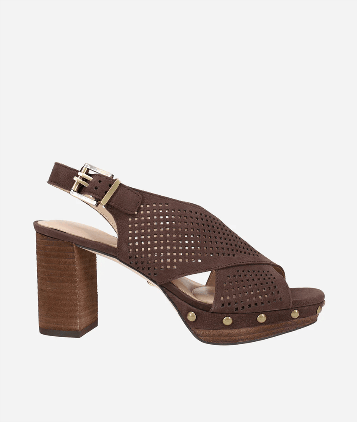 Pelle Moda AMBREE CHOCOLATE PERFORATED PLATFORM HEEL Shoes | Shop now at Main &amp; Taylor Shoes!