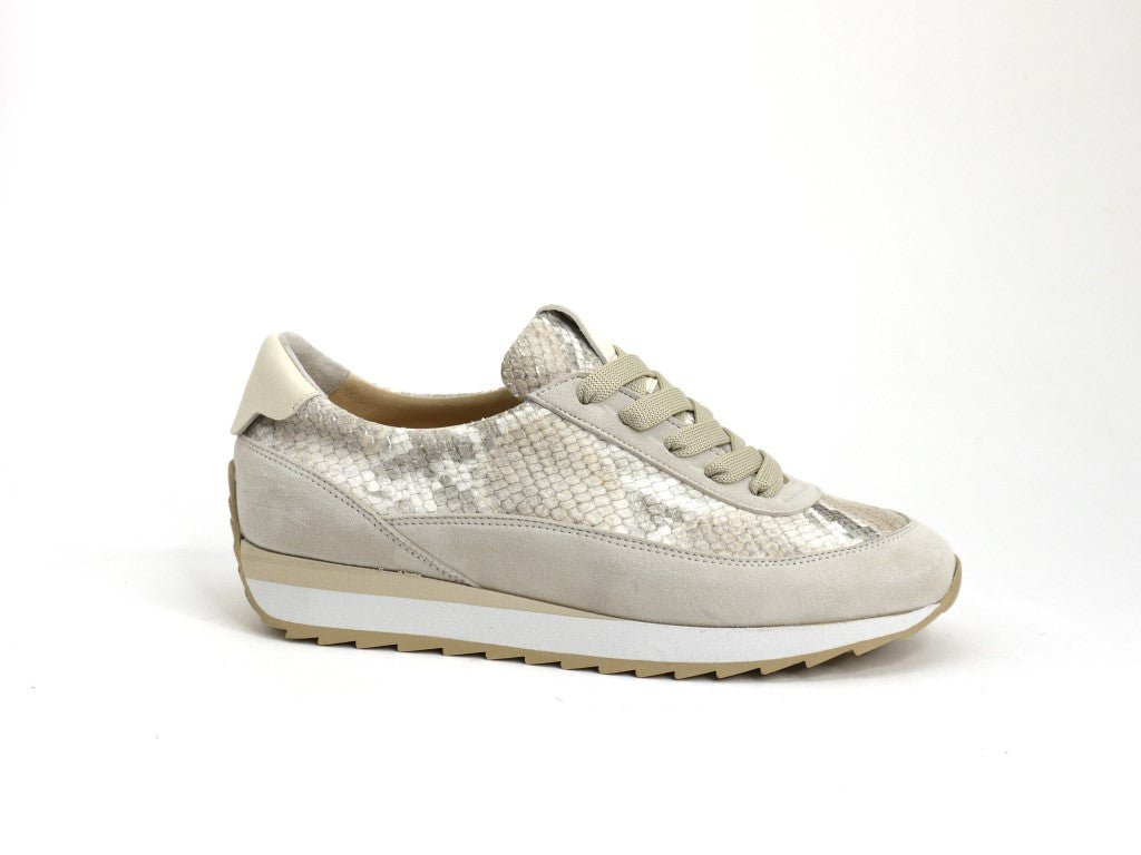 SOFTWAVES DAMARA COCO PYTHON SNEAKER SHOES | Shop now at Main & Taylor Shoes!